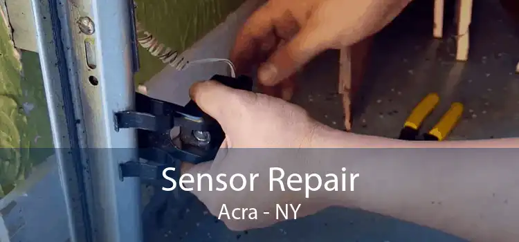 Sensor Repair Acra - NY