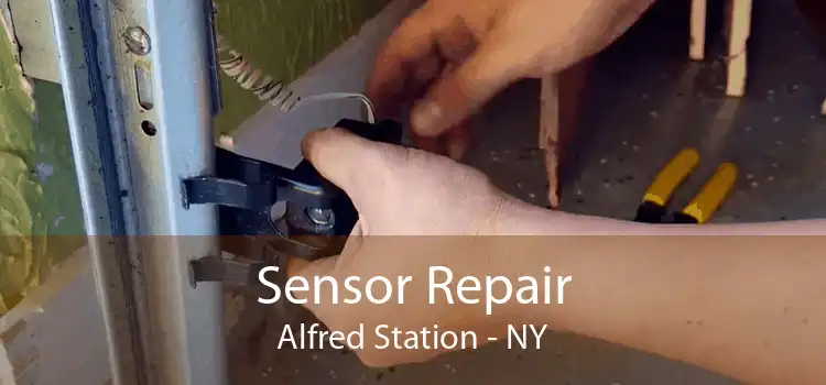 Sensor Repair Alfred Station - NY