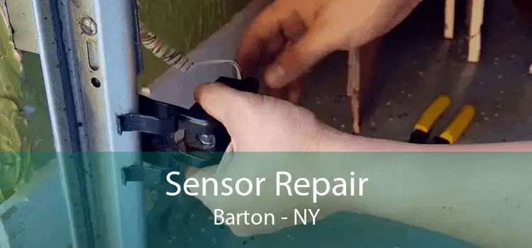 Sensor Repair Barton - NY