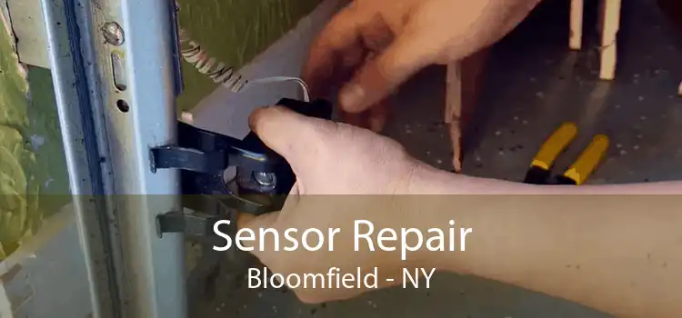Sensor Repair Bloomfield - NY