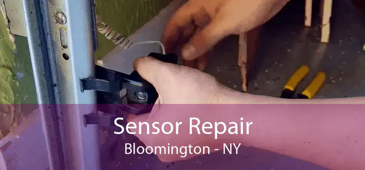 Sensor Repair Bloomington - NY