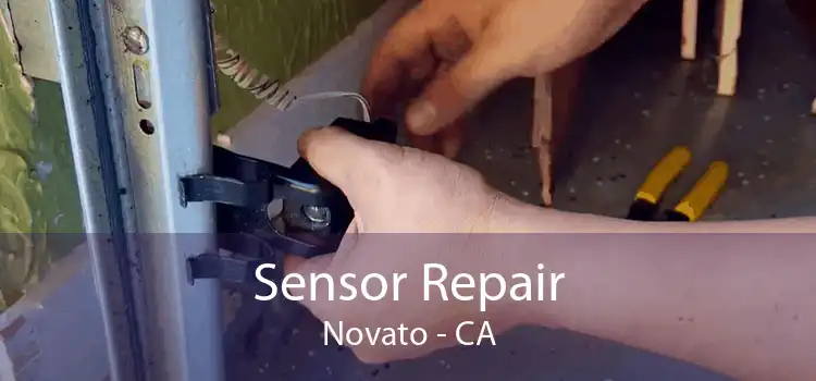 Sensor Repair Novato - CA