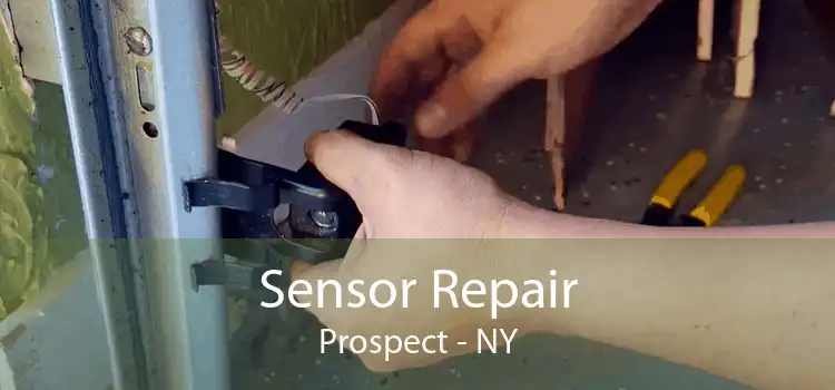 Sensor Repair Prospect - NY