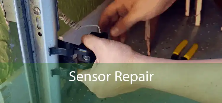 Sensor Repair 