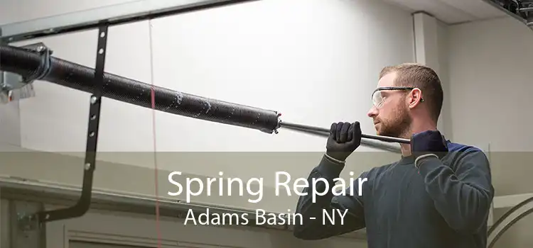 Spring Repair Adams Basin - NY