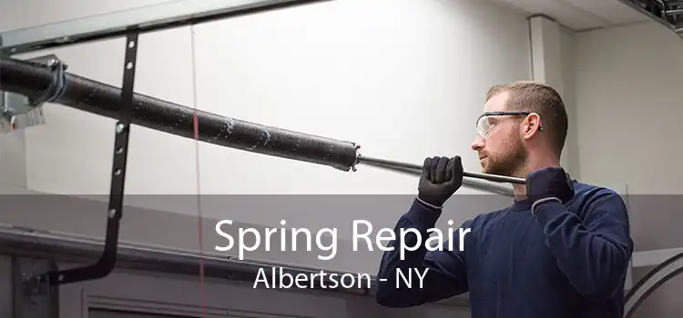 Spring Repair Albertson - NY