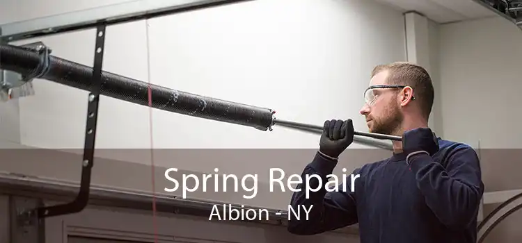 Spring Repair Albion - NY