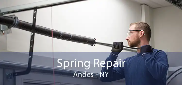 Spring Repair Andes - NY