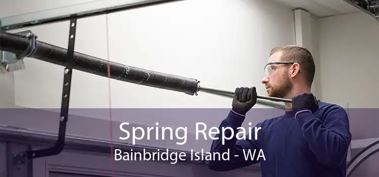 Spring Repair Bainbridge Island - WA