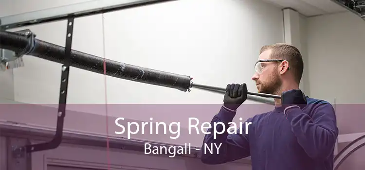 Spring Repair Bangall - NY
