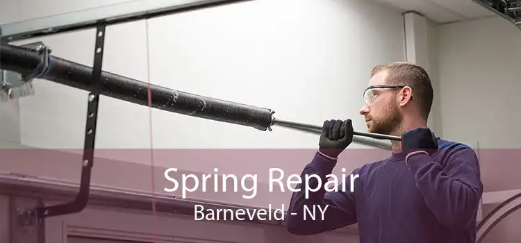 Spring Repair Barneveld - NY