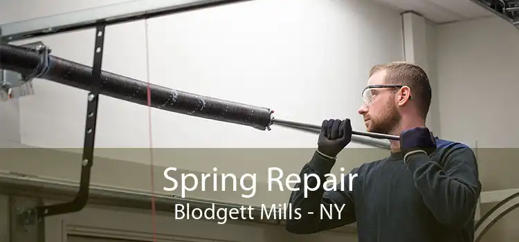 Spring Repair Blodgett Mills - NY