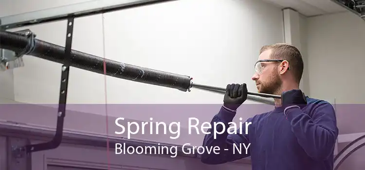 Spring Repair Blooming Grove - NY