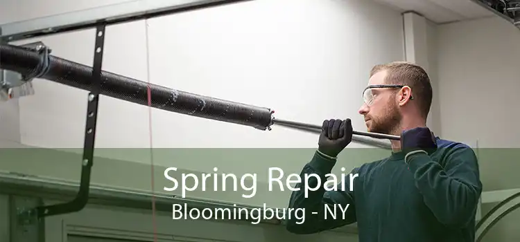 Spring Repair Bloomingburg - NY