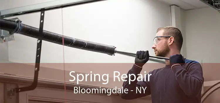 Spring Repair Bloomingdale - NY