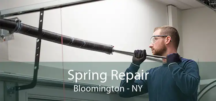 Spring Repair Bloomington - NY