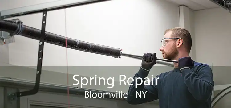 Spring Repair Bloomville - NY