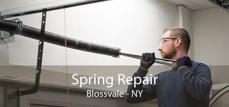 Spring Repair Blossvale - NY