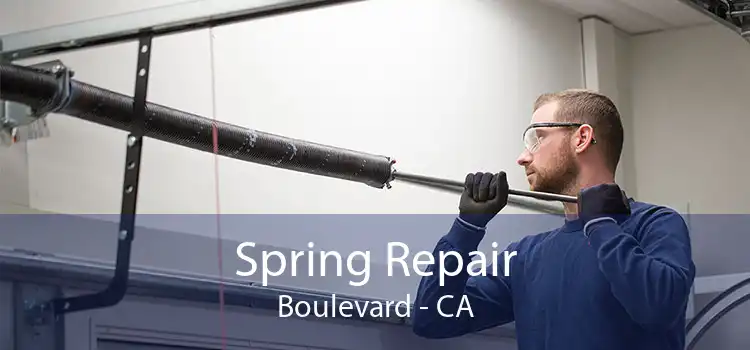 Spring Repair Boulevard - CA