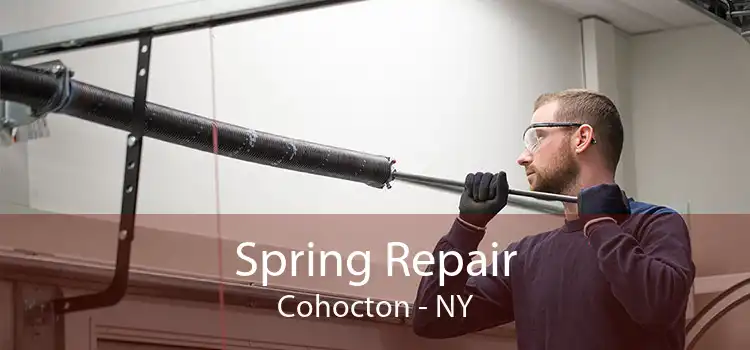 Spring Repair Cohocton - NY