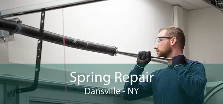 Spring Repair Dansville - NY