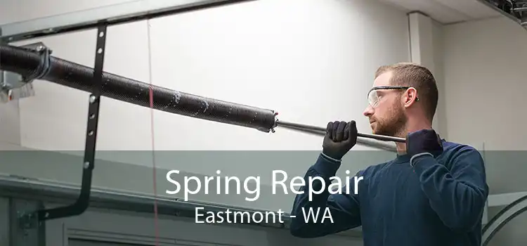 Spring Repair Eastmont - WA