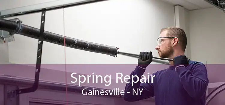 Spring Repair Gainesville - NY
