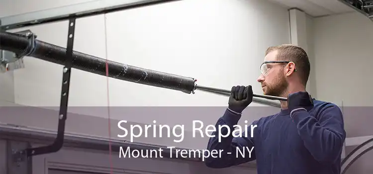 Spring Repair Mount Tremper - NY