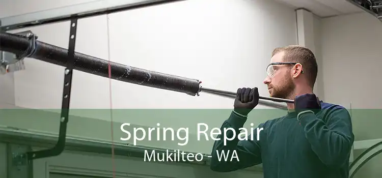 Spring Repair Mukilteo - WA
