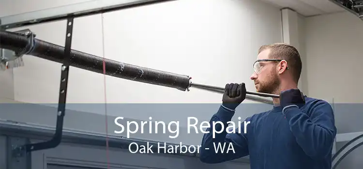 Spring Repair Oak Harbor - WA