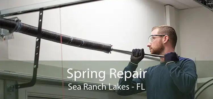Spring Repair Sea Ranch Lakes - FL