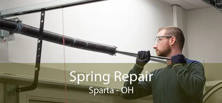 Spring Repair Sparta - OH