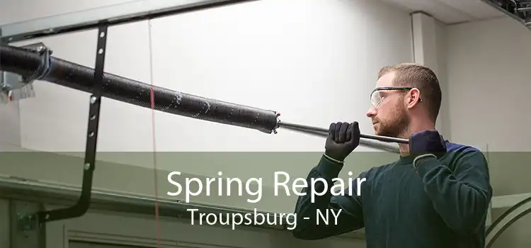 Spring Repair Troupsburg - NY