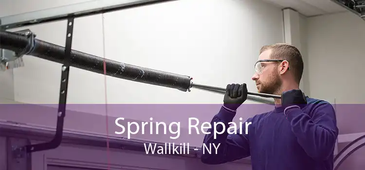 Spring Repair Wallkill - NY