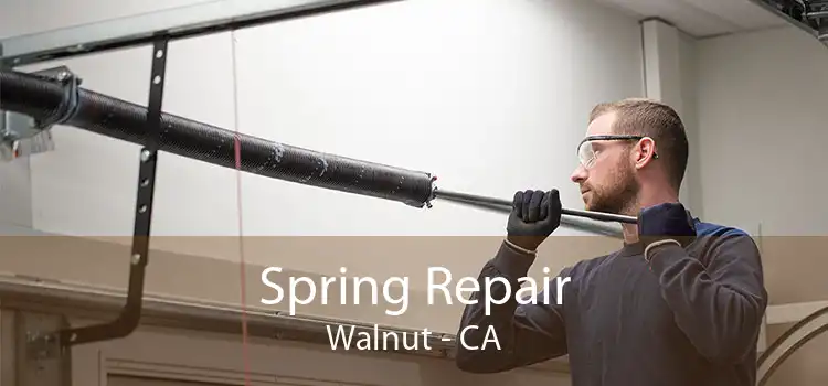 Spring Repair Walnut - CA