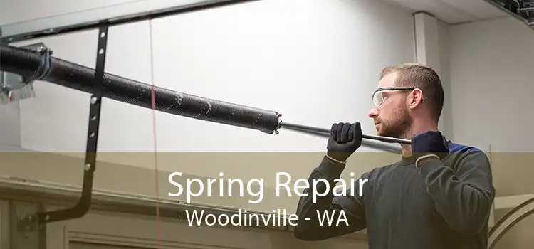 Spring Repair Woodinville - WA