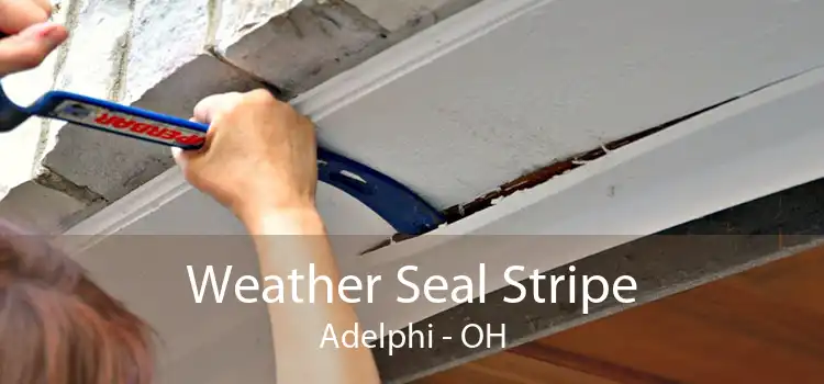 Weather Seal Stripe Adelphi - OH