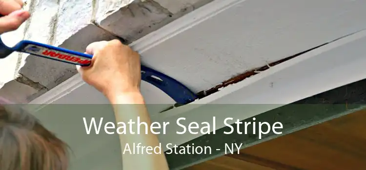 Weather Seal Stripe Alfred Station - NY