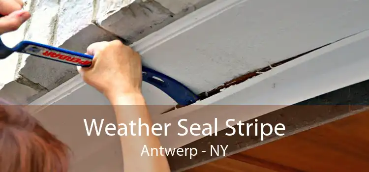 Weather Seal Stripe Antwerp - NY