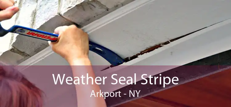 Weather Seal Stripe Arkport - NY