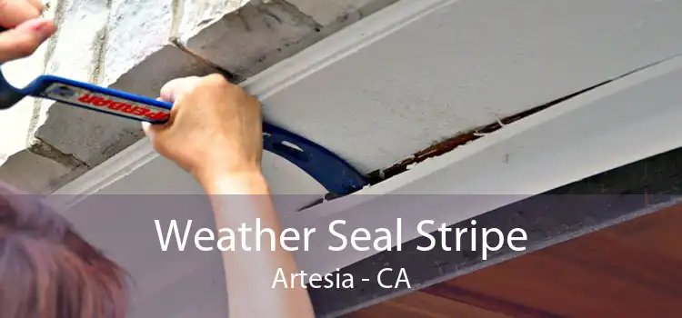 Weather Seal Stripe Artesia - CA