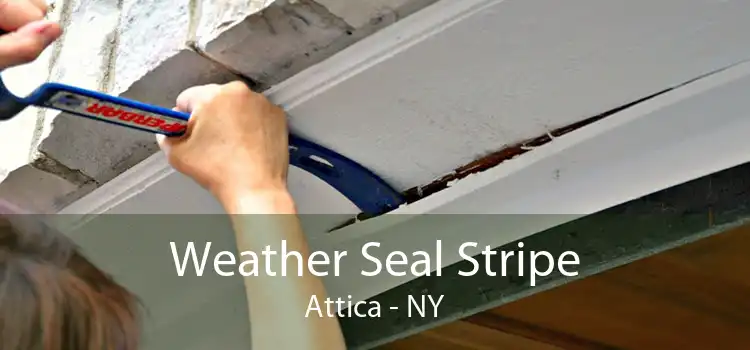 Weather Seal Stripe Attica - NY