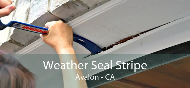 Weather Seal Stripe Avalon - CA