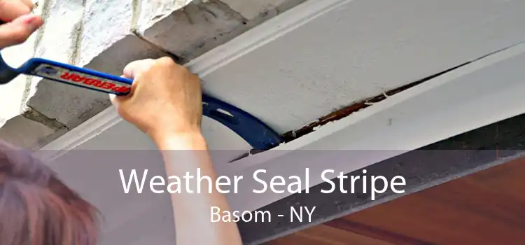 Weather Seal Stripe Basom - NY