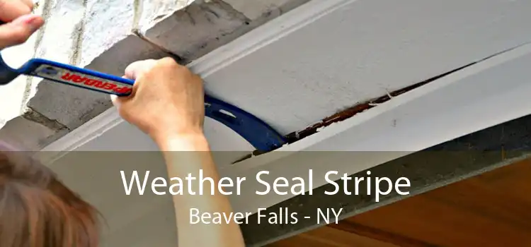 Weather Seal Stripe Beaver Falls - NY