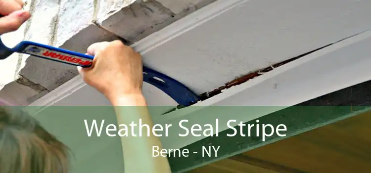 Weather Seal Stripe Berne - NY