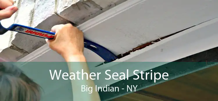 Weather Seal Stripe Big Indian - NY