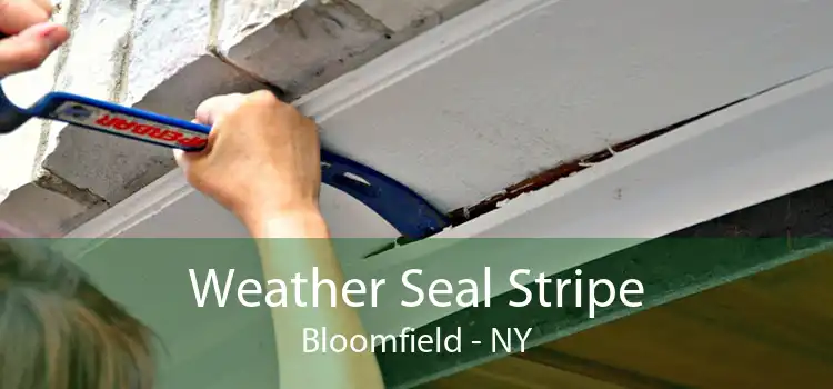 Weather Seal Stripe Bloomfield - NY