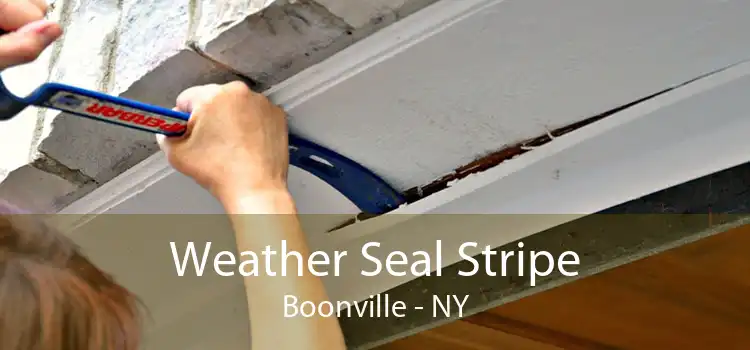 Weather Seal Stripe Boonville - NY