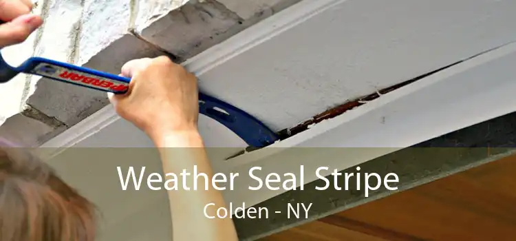 Weather Seal Stripe Colden - NY